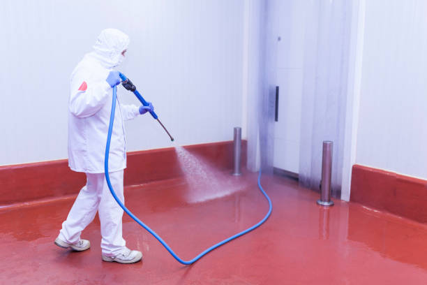 Best Pre-Holiday Cleaning  in Idalou, TX